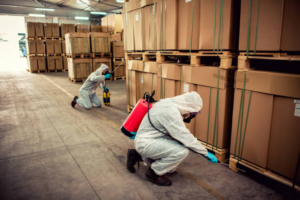 Best Emergency Pest Control  in Edinburg, VA