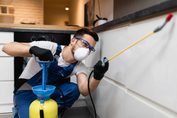 Best Flea Control Services  in Edinburg, VA