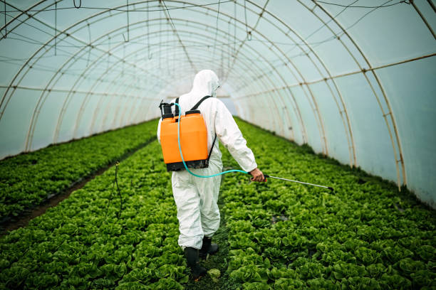 Best Best Pest Control Companies  in Edinburg, VA