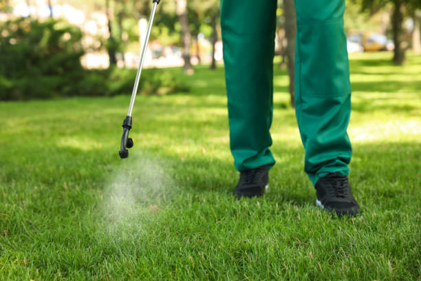 Best Commercial Pest Control Services  in Edinburg, VA