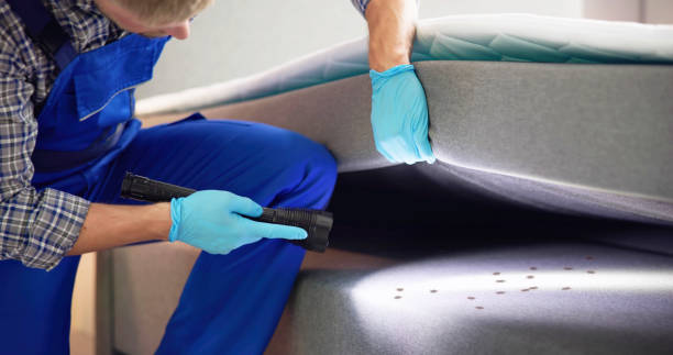 Pest Prevention Services in Edinburg, VA