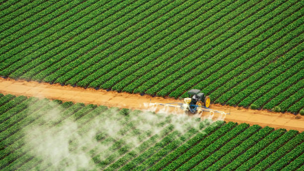 Best Pest Removal Services  in Edinburg, VA