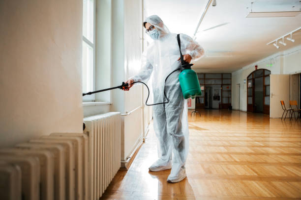 Trusted Edinburg, VA Pest Control Experts